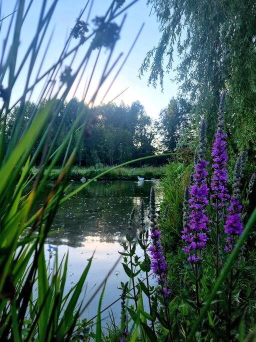 La Villa D'Aurel De 140M2, 2 Hectares De Nature Fruges Dış mekan fotoğraf